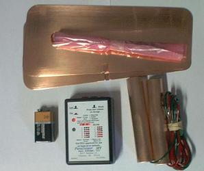 ParaZapper™MY parasite zapper with copper paddles and copper pads.